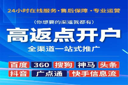 XX行业竞价广告的投放策略与效果分析
